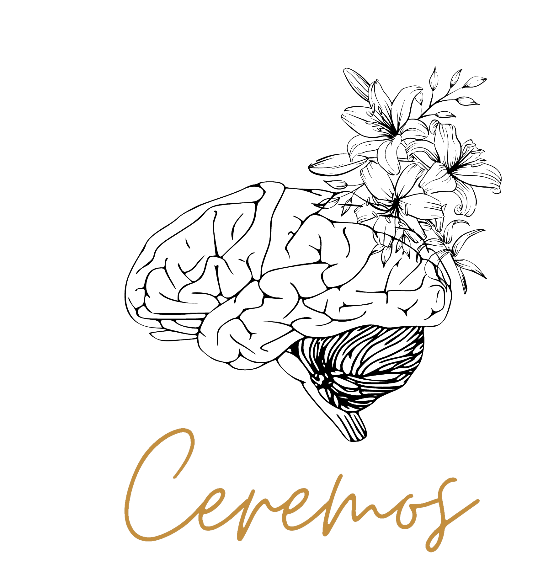 Ceremos